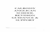 CALROSSY ANGLICAN SCHOOL REVISION GUIDANCE & …intranet.calrossy.nsw.edu.au/.../Revision-Guidance-and-Support-Booklet.pdf · After returning work students read and respond to teacher