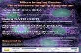 Kaoru KATO (AIST) - nic.es.hokudai.ac.jpnic.es.hokudai.ac.jp/images/event/20190628/20190628_00.pdf · MEXT Grant-in-Aid for Scientific Research on Innovative Areas “Resonance Bio”