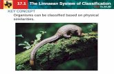 17.1 The Linnaean System of Classification - Weebly · 17.1 The Linnaean System of Classification TEKS 7A, 8A, 8B • The tree of life shows our most current understanding. • New