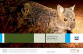 A Guide to the Mammals of Barrow Island · at least 119 types of terrestrial and migratory birds, 43 species of terrestrial reptiles, three subterranean vertebrates (an eel, a fish
