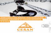 LIGHT CRANES & CHAIN HOISTS - Cesan Vinç · LIGHT CRANES & CHAIN HOISTS Tr & Eng. Cranes & Components 2 Manuel zincirli ceraskallar Hand chain blocks CRAFTster Elektrikli zincirli