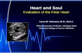 Heart and Soul - Michigan Sonographers Societymichigansonographerssociety.org/wp-content/uploads/2017/04/MSS-Fetal... · Heart and Soul Evaluation of the Fetal Heart Ivana M. Vettraino,