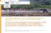 (ASM-PACE) EXPLOITATION MINIERE ARTISANALE DANS LA … · artisanal and small-scale mining in protected areas and critical ecosystems programme (asm-pace) juin report 2013 working