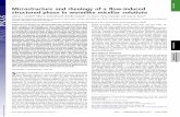Microstructure and rheology of a ﬂow-induced structured ... · Microstructure and rheology of a ﬂow-induced structured phase in wormlike micellar solutions Joshua J. Cardiela,