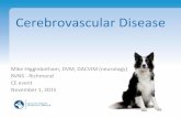 Cerebrovascular Disease - Dogwood Symposium - Home€¦ · References • McConnell JF, et al. 2005. Magnetic resonance imaging findings of presumed cerebellar cerebrovascular accident
