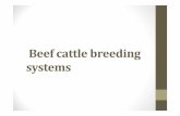 Beef cattle breeding systems-son-harfle - SESRIC · Beefcattlebreedingsystems Regardlessof the breeding system chosen, the breeder must strugglefor genetic improvement in the traits