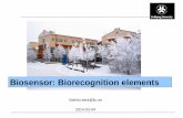 Biosensor: Biorecognition elements - IFM · Aptamersare proposed as alternatives to antibodies as biorecognition elements in analytical devices with ever increasing frequency. James,