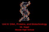 Unit 8: DNA, Proteins, and Biotechnologyweissteachernotes.com/IAProjects/ProjectITGS1/IA_Cynthia_Wong/Product... · IB Syllabus Statements • 3.5.1 – Compare the structure of RNA