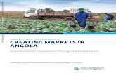 COUNTRY PRIVATE SECTOR DIAGNOSTIC CREATING MARKETS …documents.worldbank.org/.../Creating-Markets-in...the-Private-Sector.pdf · The Angola Private Sector Diagnostic was prepared