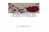 ESSENTIALS OF FLUID CYTOLOGY - Pathology · cerebrospinal fluid and urine in neoplastic and non- neoplastic diseases of the kidney and lower urinary tract. Cytologic manifestations