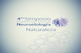 4 Simposio Internacional Neuroetología - uv.mx · y uno de tres controles: agua destilada, acetato de isobutilo y olor de excretas de iguana Verde (0.2ml en papel filtro) (Fig. 2).