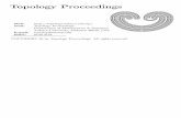 Topology Proceedings - AUtopomathServertopology.auburn.edu/tp/reprints/v22/tp22226.pdf · Topology Proceedings Volume 22, Summer 1997, 427-469 . TOPOLOGY AND ITERATES IN COMPUTATIONAL
