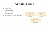 Abscisic Acid - WOU Homepageguralnl/gural/330Abscisic Acid.pdf · Chemistry • synthesized in chloroplast/plastids • maevlonic acid pathway • cis-ABA active form • lunuluric
