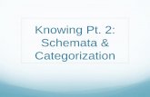 Knowing Pt. 2: Schemata & Categorization - niu.edu · steady flow of electricity, a break in the middle of the wire would also cause problems. Of course, the fellow could shout, but