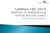 Zeni Mabidi & Cathy Ross - LabWare of Implementing... · bespoke Excel/VBA in-house LIMS. Isando . Modderfontein . Section Function LabWare Functionality Improvements (wishes) ...