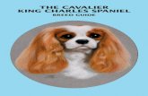 87825 StephanieAbraham Layout 1 4/21/11 8:01 PM Page FC1 ...images.akc.org/pdf/judges/CKCS.pdf · 1 THE CAVALIER KING CHARLES SPANIEL BREED GUIDE (Revised 2011) PRESENTED BY THE AMERICAN