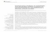 Comparative analysis of autophagy and tauopathy related ...bibliotecadigital.udea.edu.co/bitstream/10495/6823/1/VillamilOrtiz... · PS1(M146V),APP(Swe),andtau(P301L)transgenes;Oddoetal.,