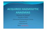Mansour El-Sharief Faculty of MLS Advanced Hematology ... haemolytic a...Autoimmun e Warm type Cold type-Alloimmune HTR HDN-Drug -Red cell fragmentation syndromes-March haemoglobinuria