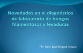 TM. MSc. José Miguel Amaro - sochinf.cl · • Penicillium spp. en el subgenero Biverticillium ahora es género Talaromyces •Talaromyces marneffei (Penicillium marneffei)