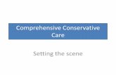 Comprehensive Conservative Care Setting the scene · 0 500 1000 1500 2000 2500 STG Hub Nep Hub JHH Hub NSW 2016 2017 No. patients seen by Renal Supportive Care Services STG Hub 2016