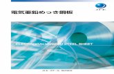 電気亜鉛めっき鋼板 - jfe-steel.co.jp · Notice While every effort has been made to ensure the accuracy of the information contained within this publication, the use of the