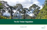 The EU Timber Regulation - NEPCon EU... · Regulation (EU) No 995/2010 laying down the obligations of operators who place timber and timber products on the market Secondary legislation