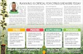 PLANNING IS CRITICAL FOR CITRUS GROWERS TODAY · PLANNING IS CRITICAL FOR CITRUS GROWERS TODAY by PHILLIP RUCKS ˜ e nursery in-dustry sure has changed. Since I opened Phil-lip Rucks