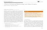 A Review of Nebivolol Pharmacology and Clinical Evidence · A Review of Nebivolol Pharmacology and Clinical Evidence ... vasodilatory b-blockers (carvedilol, labetalol), which are