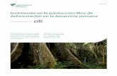 Invirtiendo en la producción libre de deforestación en la ... · Invirtiendo en la producción libre de deforestación en la Amazonía peruana June 2017 233 Broadway, 28th Floor