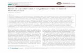 REVIEW Open Access Role of carotenoid b-cryptoxanthin in ... · REVIEW Open Access Role of carotenoid b-cryptoxanthin in bone homeostasis Masayoshi Yamaguchi Abstract Bone homeostasis