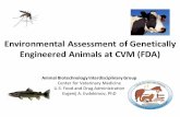 Environmental Assessment of Genetically Engineered Animals ... · Environmental Assessment of Genetically Engineered Animals at CVM (FDA) Animal Biotechnology Interdisciplinary Group
