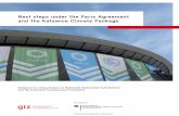 Next steps under the Paris Agreement and the Katowice ... · COP 241 in Poland in December 2018 and the Katowice Climate Package2 that was agreed there. 1 COPs are the Conference