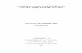 A COMPARATIVE SURVEY OF BUDDHIST AND WESTERN … · A comparative survey of both Buddhist critiques and western critiques of metaphysics, with reference to God, the world and the