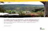 Implementing REDD+ and adaptation to climate change in the ... · Implementing REDD+ and adaptation to climate change in the Congo Basin Review of projects, initiatives and opportunities