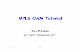 MPLS OAM tutorial final - archive.nanog.org · MPLS TP – New additions to MPLS OAM Requirements Operations •NMS Driven provisioning •Static Network setup Reliability and Resiliency