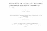 Biosorption of copper by nepenthes ampullaria-associated ... · Wong, C, Tan, D, Lihan, S, Mujahid, A & Müller, M "Biosorption of Copper (Cu) by Endophytic Fungi Isolated from Nepenthes