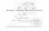 Biological Networks and their Evolution - imsc.res.insitabhra/meetings/school10/Isambert_Chennai... · Biological Networks and their Evolution 2nd IMSc Complex Systems School, The