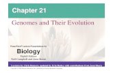 Genomes and Their Evolutionocw.nthu.edu.tw/ocw/upload/16/312/【L14 課程大綱】20091217 莊永仁 ch21.pdf · analyze genomes and their functions • The Human Genome Project