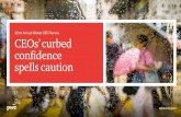 PwC's 22nd Annual Global CEO Survey · ceosurvey.pwc CEOs’ curbed confidence spells caution 22nd Annual Global CEO Survey