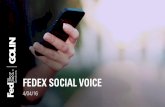 FEDEX SOCIAL VOICE - s3.amazonaws.com · Karen likes to engage with our Facebook content, and about 40 percent of our current fans match Karen’s demographics. She also follows our