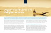 Agriculture in Myanmar - RVO.nl Factsheet.pdf · Agriculture is the backbone of the Myanmar economy: the sector accounts for about 30% of GDP, over 50% of total employment and approximately