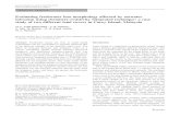 Evaluating freshwater lens morphology affected by seawater ...eprints.uthm.edu.my/8119/1/hazreek_4.pdf · alluvial deposits of the Gula Formation (Holocene Age) and in the aborigine