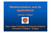 Skeletonization and its applications - Informatikai Intأ© Skeletonization and its applications Kأ،lmأ،n