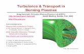 Turbulence & Transport in Burning Plasmas · simulations use observed or empirical boundary conditions near edge. Need more complicated edge turbulence code to make fully predictive