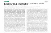Review FOXP2 as a molecular window into speech and language · FOXP2 as a molecular window into speech and language Simon E. Fisher1 and Constance Scharff2 1Wellcome Trust Centre
