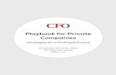 Playbook for Private Companies - The Innovation Enterpriseie.theinnovationenterprise.com/eb/PlaybookForPrivateCompanies2014.pdf · CFO role, he executes operational initiatives while