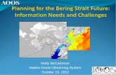 Alaska Ocean Observing Systemonlinepubs.trb.org/onlinepubs/mb/Arctic2012/Presentations/mccammon.pdf · Alaska Ocean Observing System ... • AK has an existing network of 80+ AIS