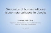Genomics of Human Adipose Tissue Macrophages in Obesity · Genomics of human adipose tissue macrophages in obesity Lindsey Muir, Ph.D. Department of Computational Medicine & Bioinformatics.