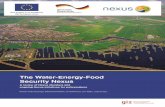 WEF Nexus Literature Review - water-energy-food.org · In this literature review, the following definitions of water security, energy security and food security are considered: •