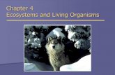 Chapter 4 Ecosystems and Living Organisms 112/rav7e_ch04_lecture.pdf · Chapter 4 Ecosystems and Living Organisms. Overview of Chapter 4 Evolution Natural Selection Biological Communities